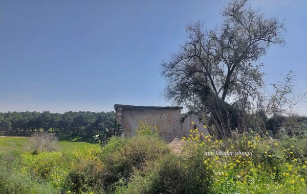  | موسوعة القرى الفلسطينية