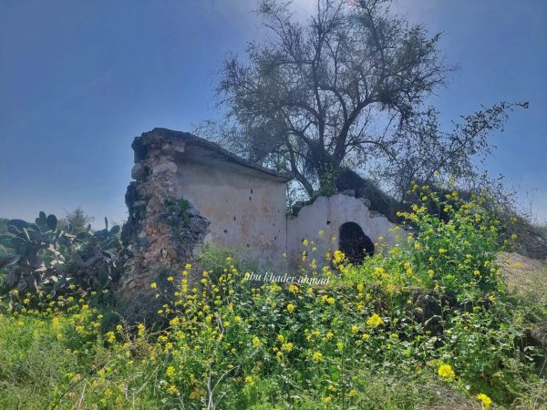  | موسوعة القرى الفلسطينية