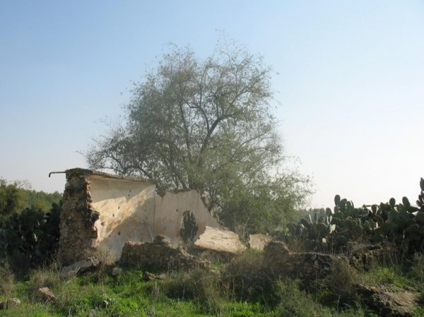  | موسوعة القرى الفلسطينية