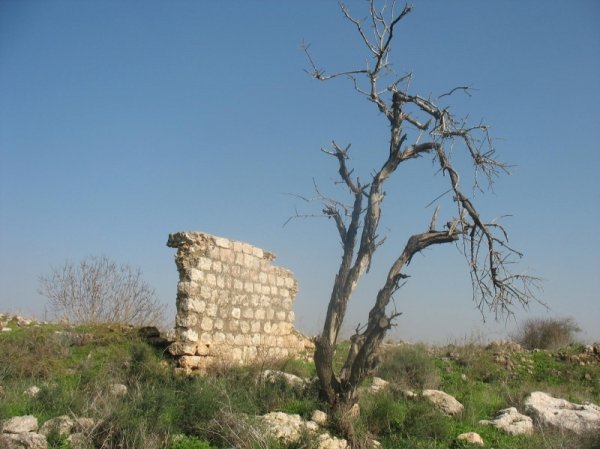  | موسوعة القرى الفلسطينية