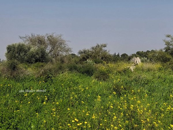 | موسوعة القرى الفلسطينية