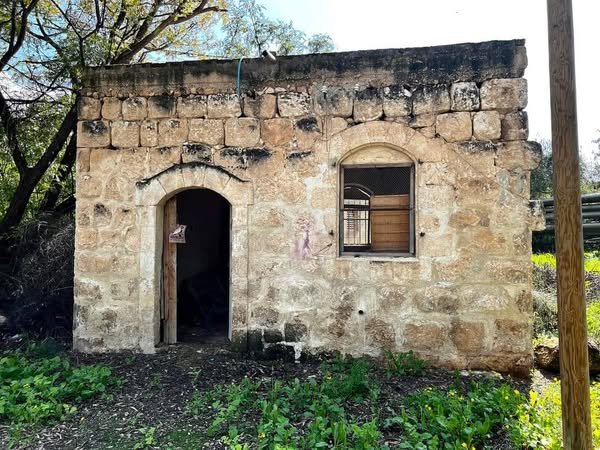 قرية دانيال / الرملة