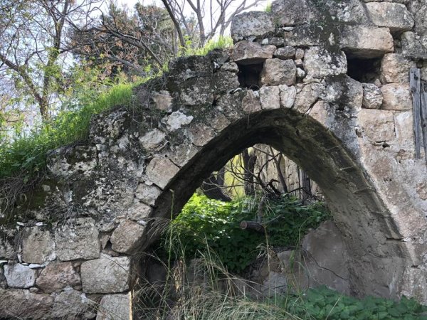 قرية دانيال / الرملة