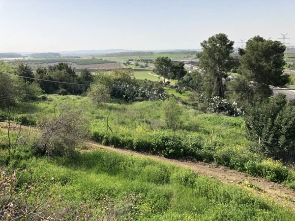 قرية دانيال / الرملة