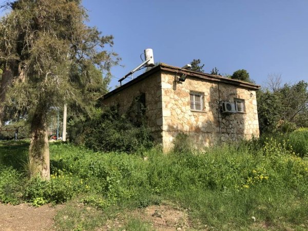 قرية دانيال / الرملة