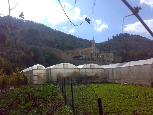  | موسوعة القرى الفلسطينية