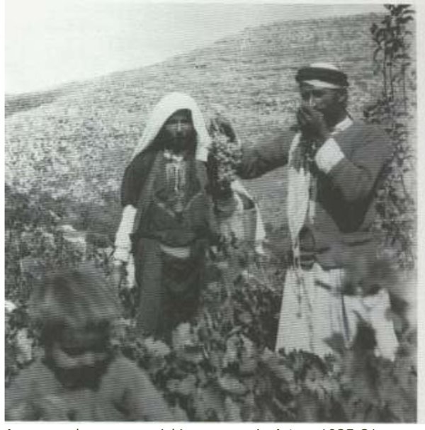  | موسوعة القرى الفلسطينية