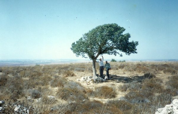  | موسوعة القرى الفلسطينية