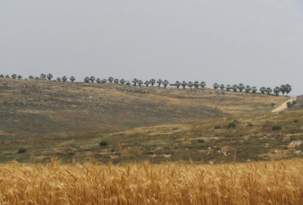  | موسوعة القرى الفلسطينية