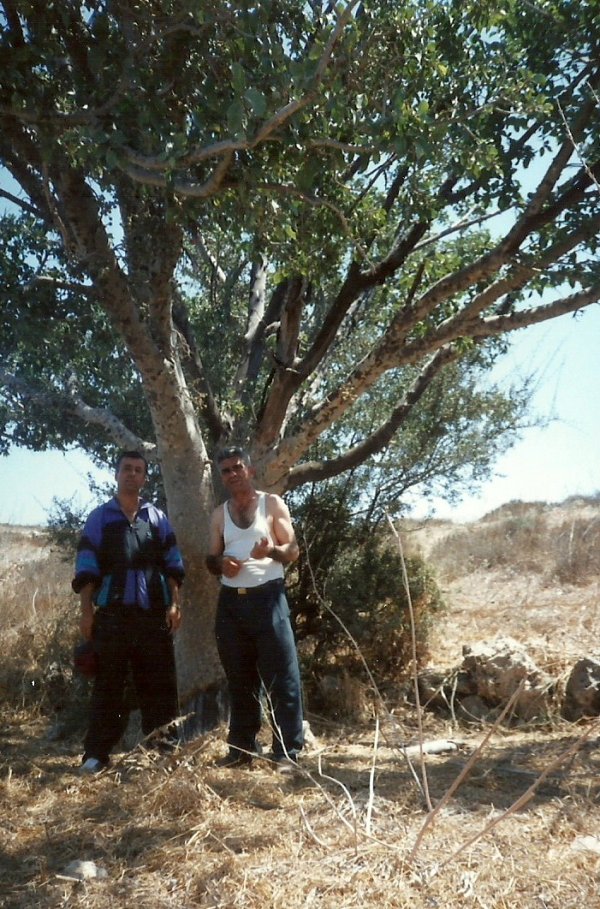  | موسوعة القرى الفلسطينية