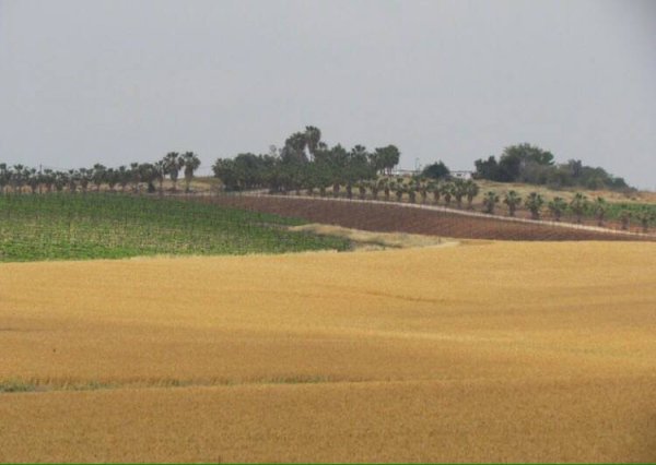  | موسوعة القرى الفلسطينية