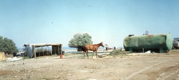  | موسوعة القرى الفلسطينية