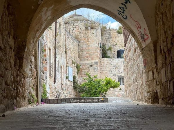 | موسوعة القرى الفلسطينية  | موسوعة القرى الفلسطينية