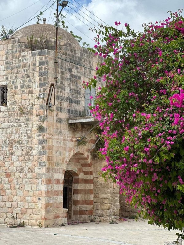 | موسوعة القرى الفلسطينية  | موسوعة القرى الفلسطينية