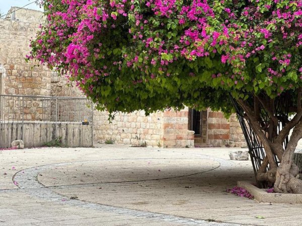 | موسوعة القرى الفلسطينية  | موسوعة القرى الفلسطينية