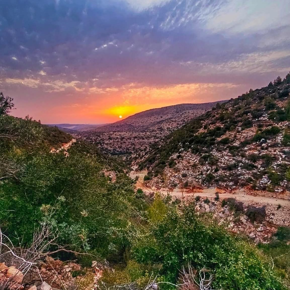 | موسوعة القرى الفلسطينية  | موسوعة القرى الفلسطينية