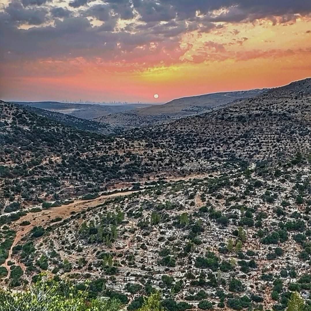 | موسوعة القرى الفلسطينية  | موسوعة القرى الفلسطينية
