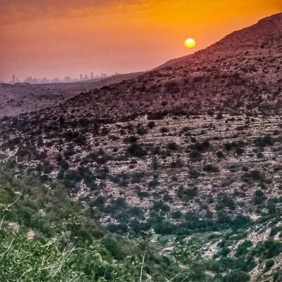| موسوعة القرى الفلسطينية  | موسوعة القرى الفلسطينية