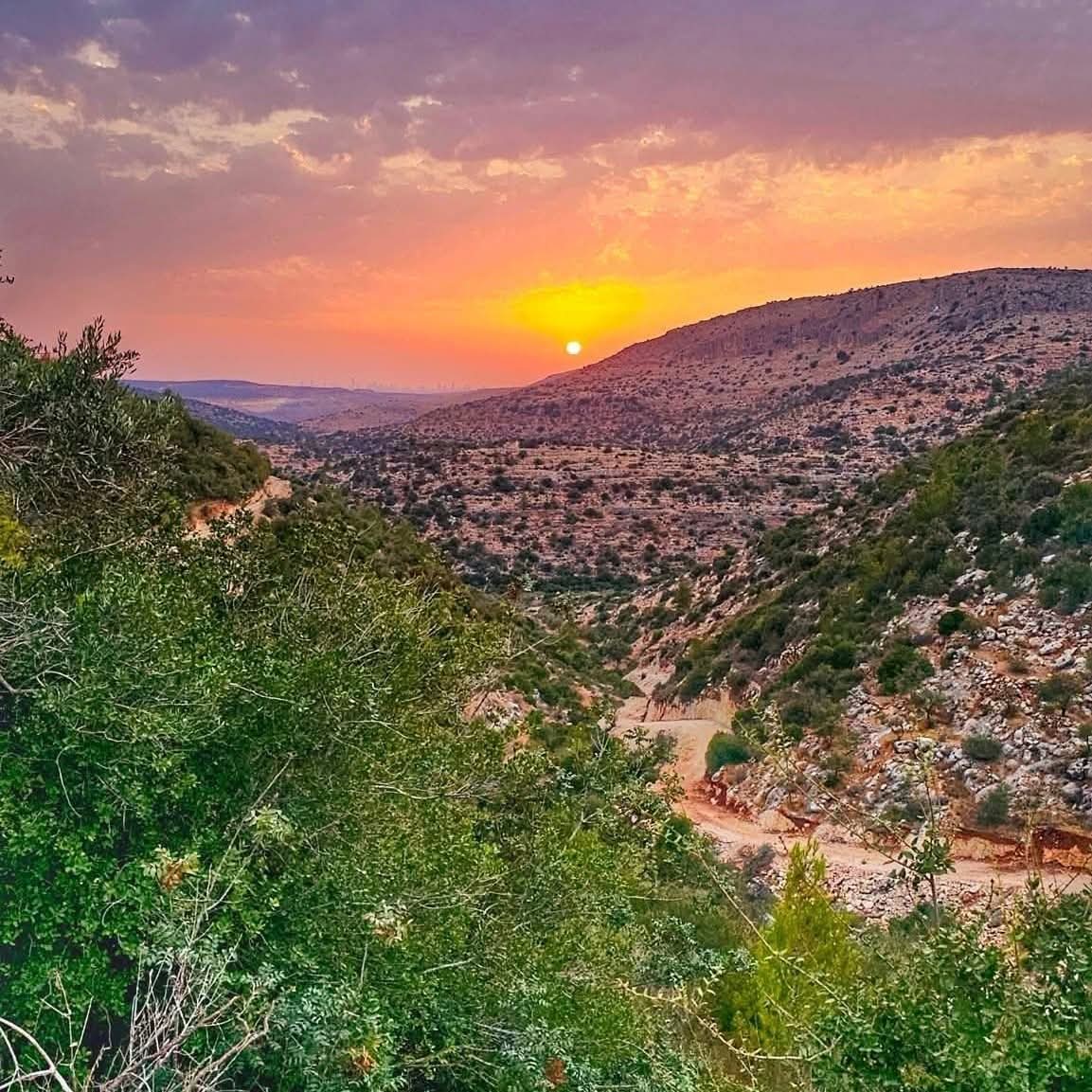 | موسوعة القرى الفلسطينية  | موسوعة القرى الفلسطينية