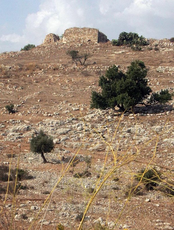  | موسوعة القرى الفلسطينية