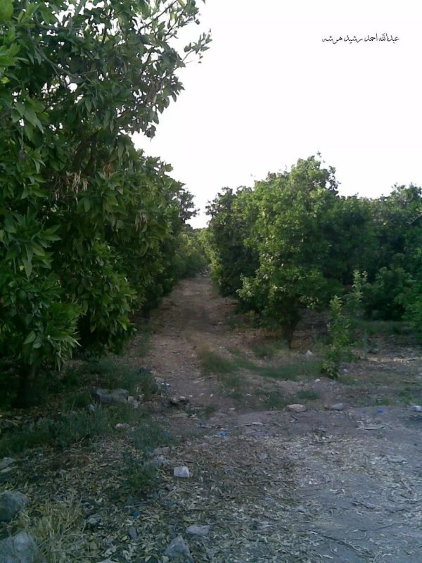  | موسوعة القرى الفلسطينية