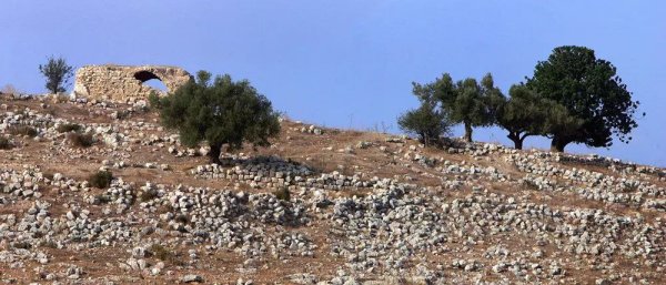  | موسوعة القرى الفلسطينية