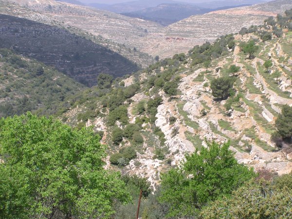 أراضي  القرية