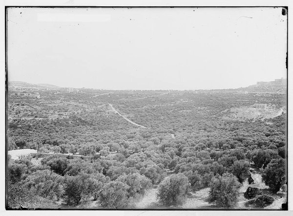 أراضي القرية