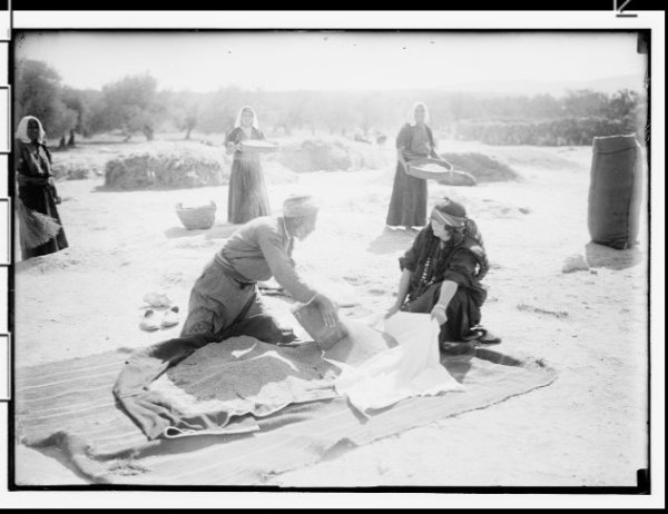  | موسوعة القرى الفلسطينية