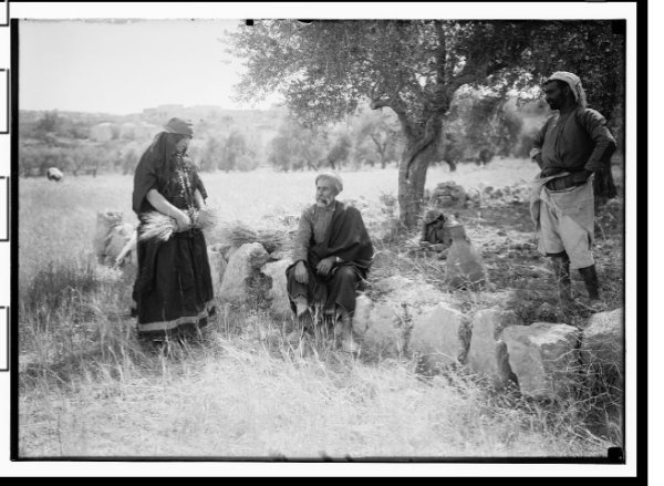  | موسوعة القرى الفلسطينية