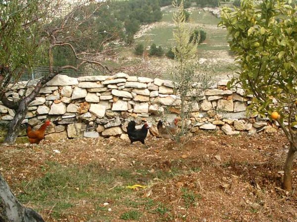  | موسوعة القرى الفلسطينية