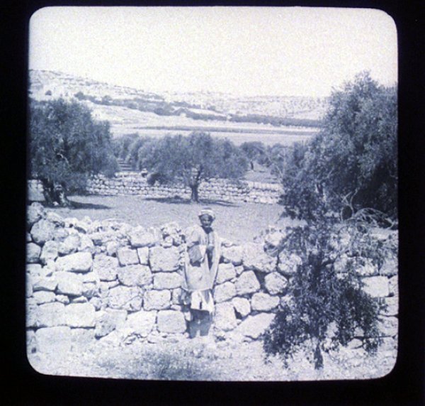  | موسوعة القرى الفلسطينية