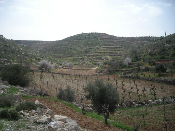  | موسوعة القرى الفلسطينية