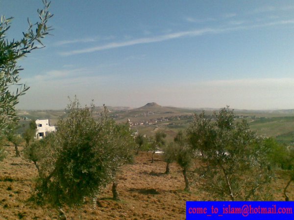  | موسوعة القرى الفلسطينية