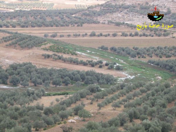  | موسوعة القرى الفلسطينية