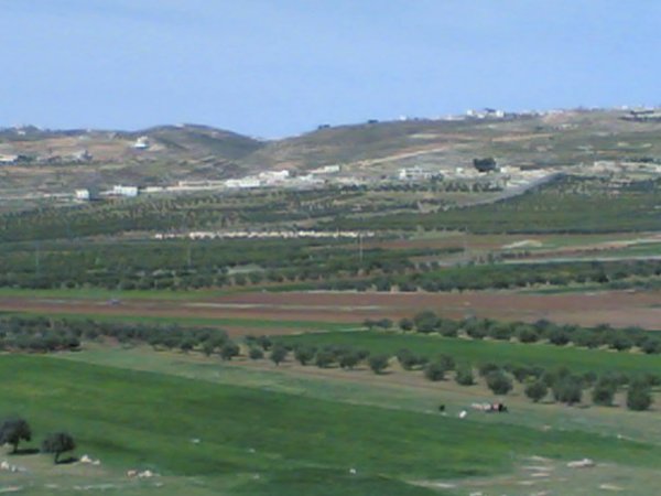  | موسوعة القرى الفلسطينية