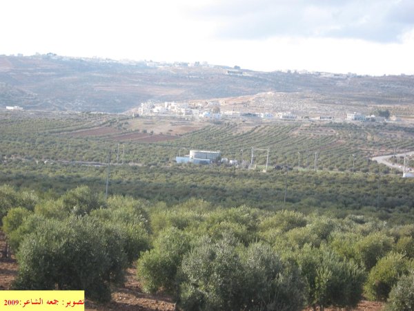  | موسوعة القرى الفلسطينية