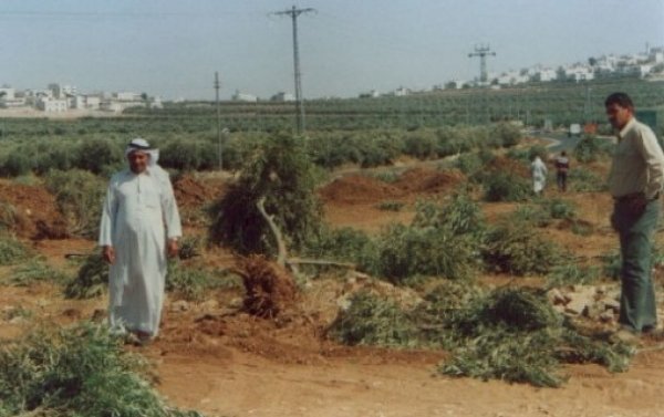  | موسوعة القرى الفلسطينية