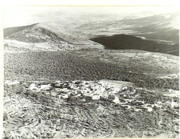 صورة نادرة لقرية الرامة