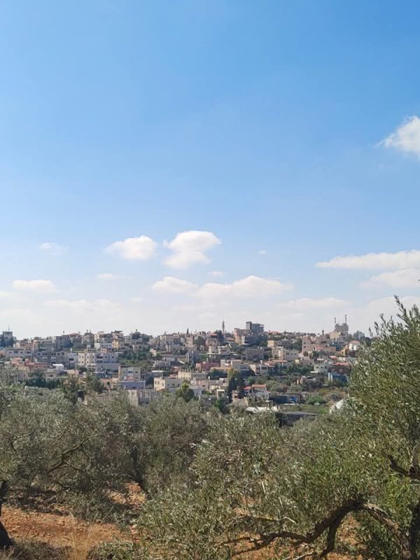  | موسوعة القرى الفلسطينية