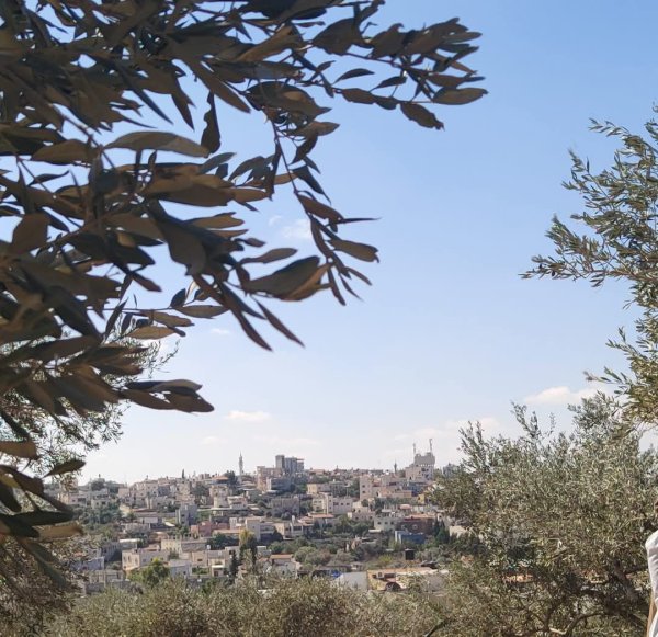  | موسوعة القرى الفلسطينية