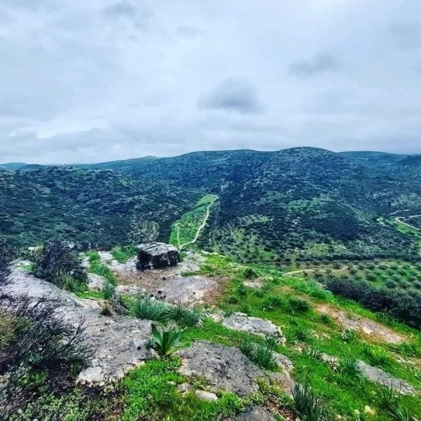  | موسوعة القرى الفلسطينية