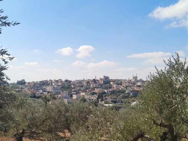  | موسوعة القرى الفلسطينية