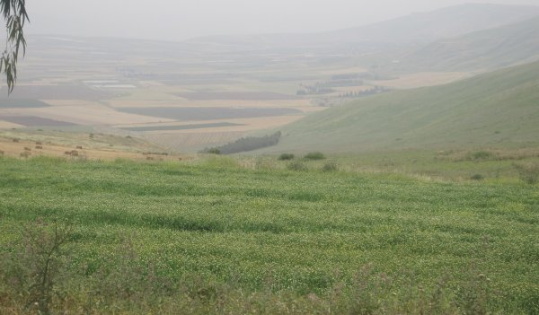 وادي الشومر شرقي أراضي لوبيا