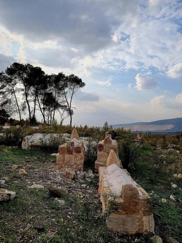 صور حديثة من أراضي قرية لوبية المهجرة، بعدسة: أ. نبيلة سالم