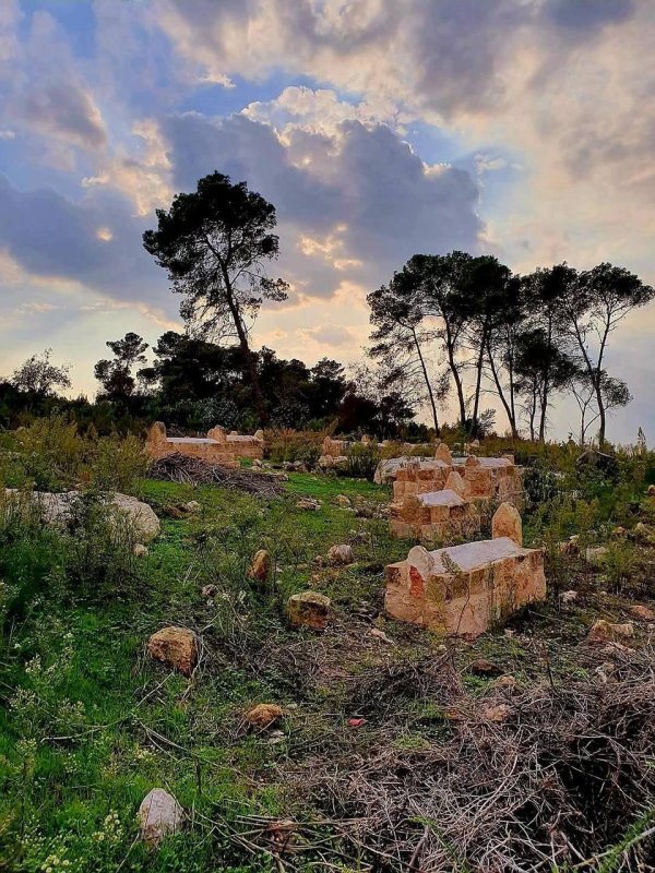 صور حديثة من أراضي قرية لوبية المهجرة، بعدسة: أ. نبيلة سالم