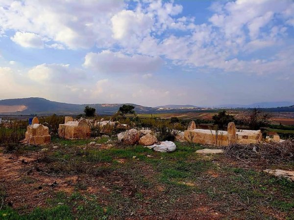 صور حديثة من أراضي قرية لوبية المهجرة، بعدسة: أ. نبيلة سالم