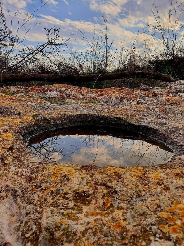 صور حديثة من أراضي قرية لوبية المهجرة، بعدسة: أ. نبيلة سالم