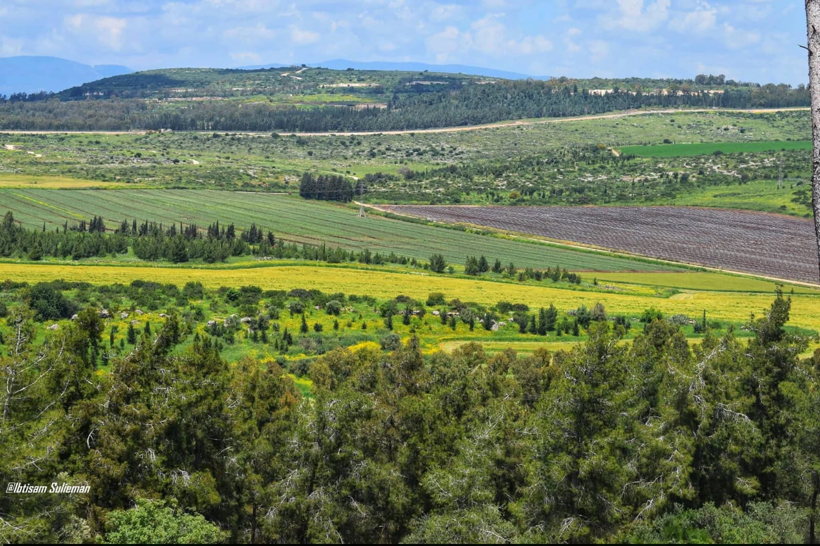  | موسوعة القرى الفلسطينية