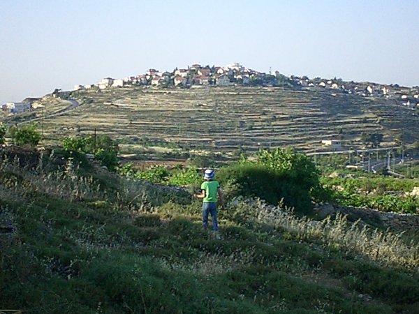 أراضي القرية